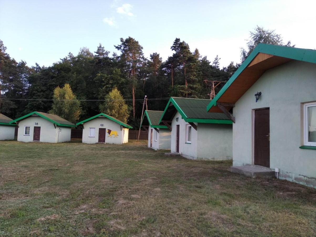 Domki Pod Lasem Płońsk Exterior foto