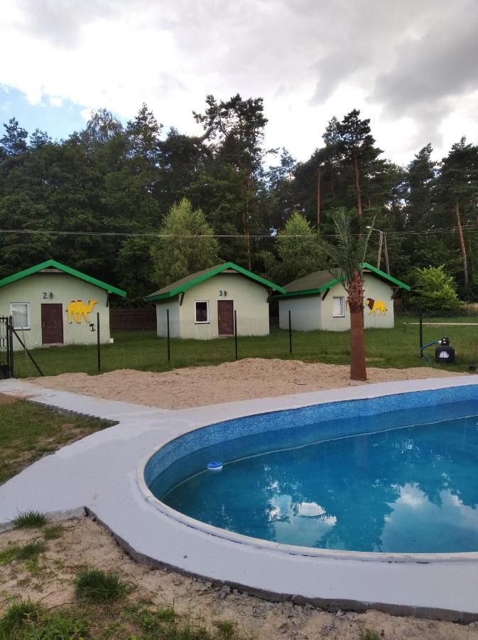 Domki Pod Lasem Płońsk Exterior foto